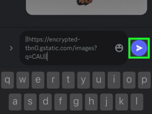 Read more about the article How to Spoiler an Image on Discord Mobile: Easy Steps for iOS and Android